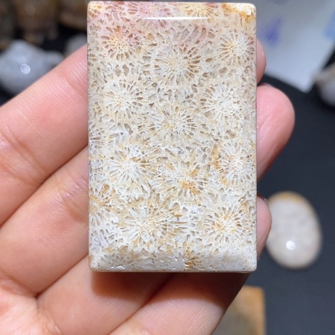 【闪购商品】硅化玉吊坠(不含链)未镶嵌