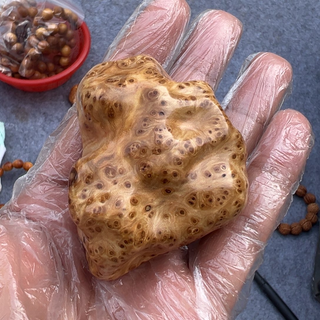 柏木（崖柏）太行爆满瘤花手把