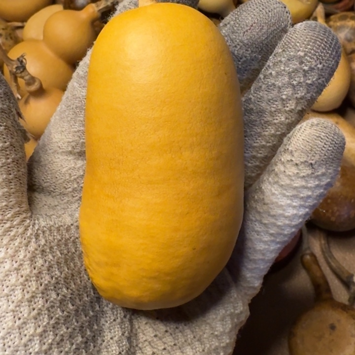 B***w葫芦111111111111112