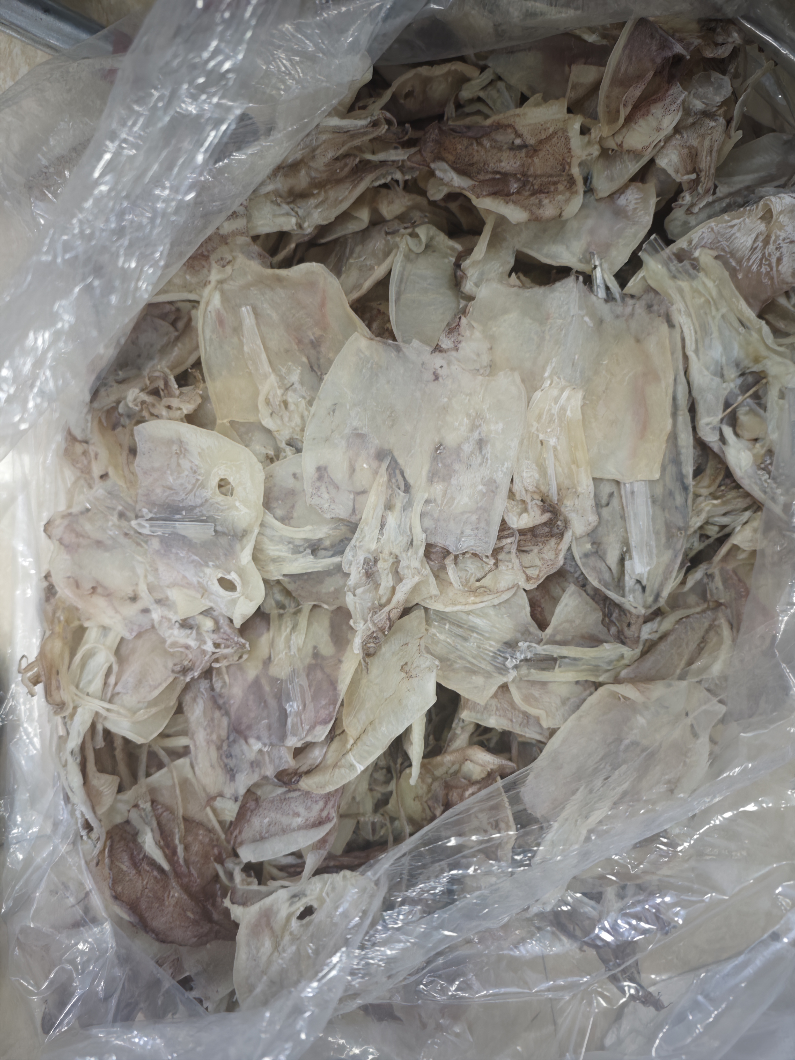 陆丰甲子特产断鱿鱼