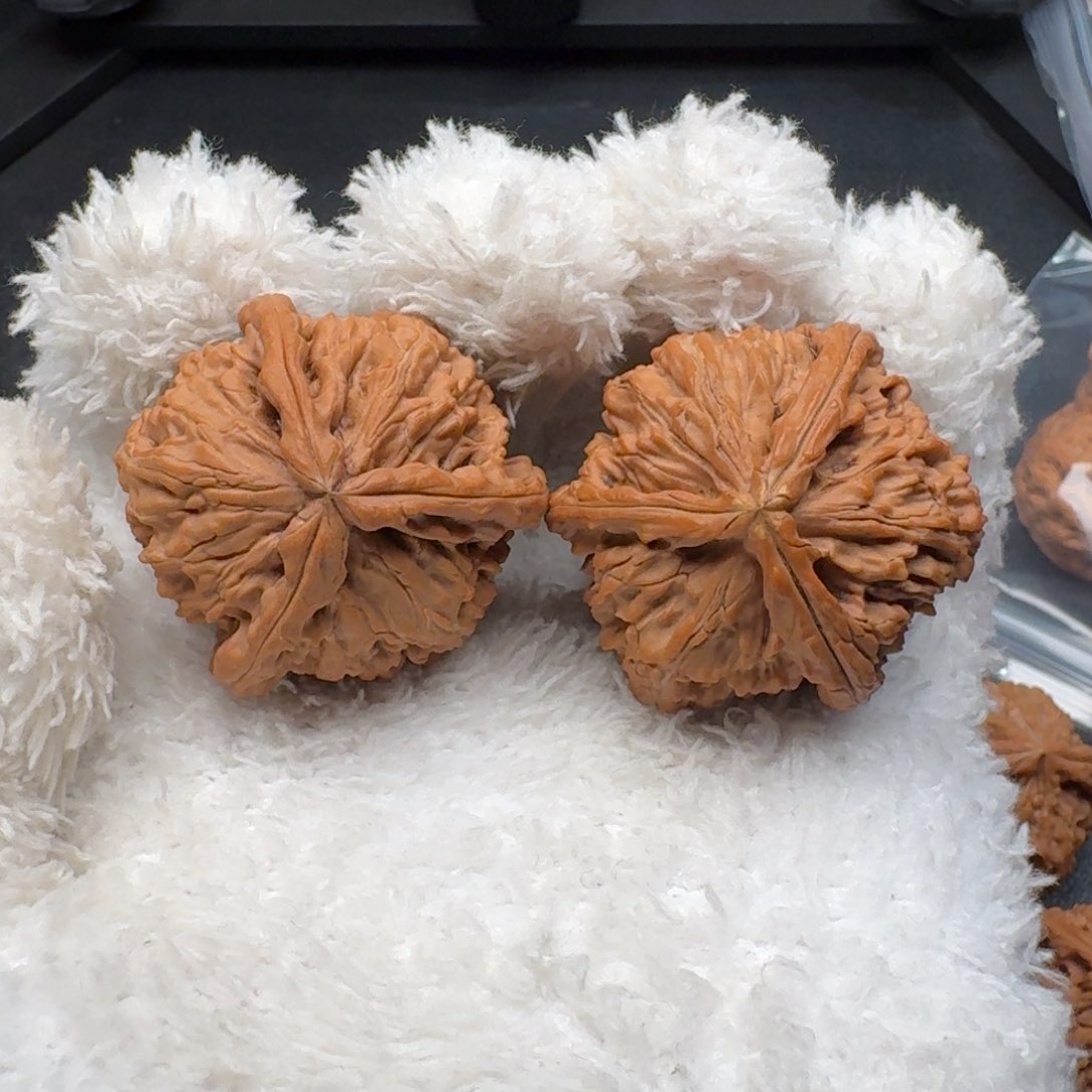 文玩核桃把件白狮子三棱