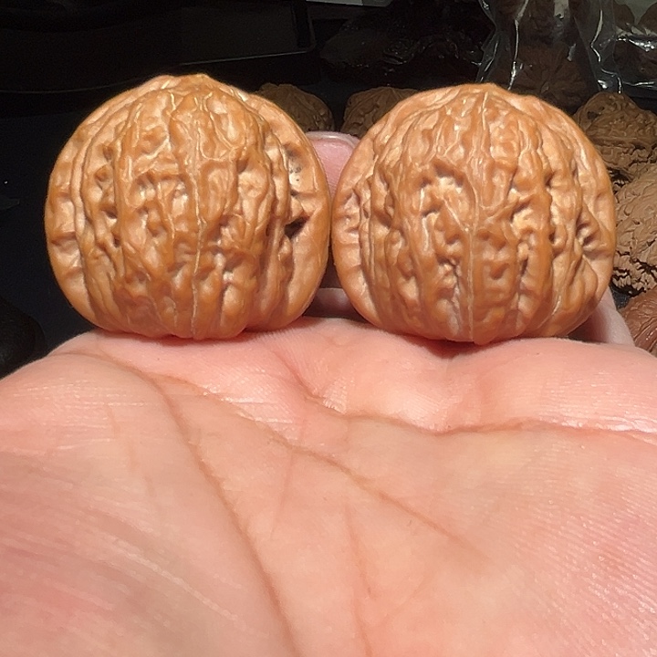 木39精品原桩铁锤。  