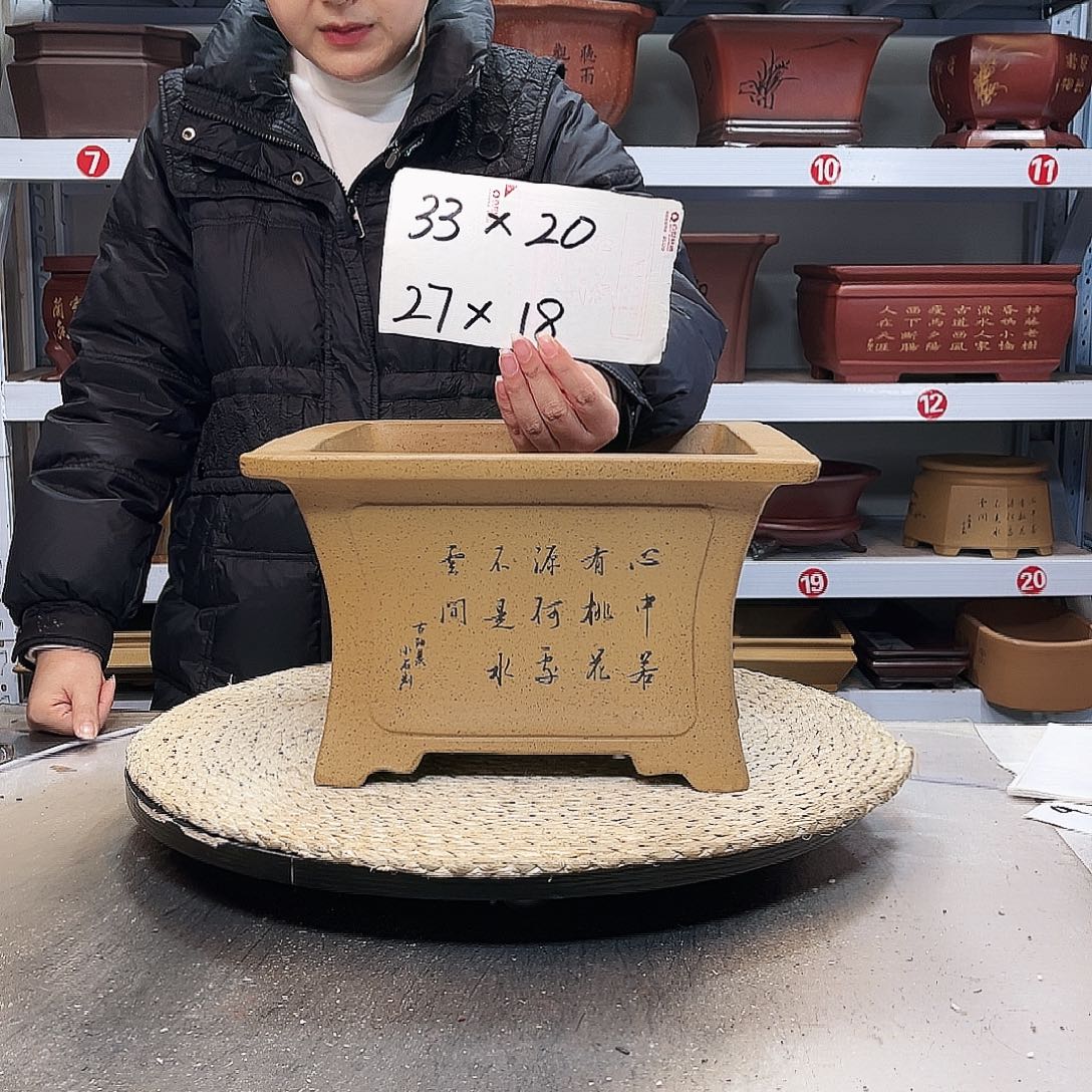 花盆紫砂紫砂花盆里