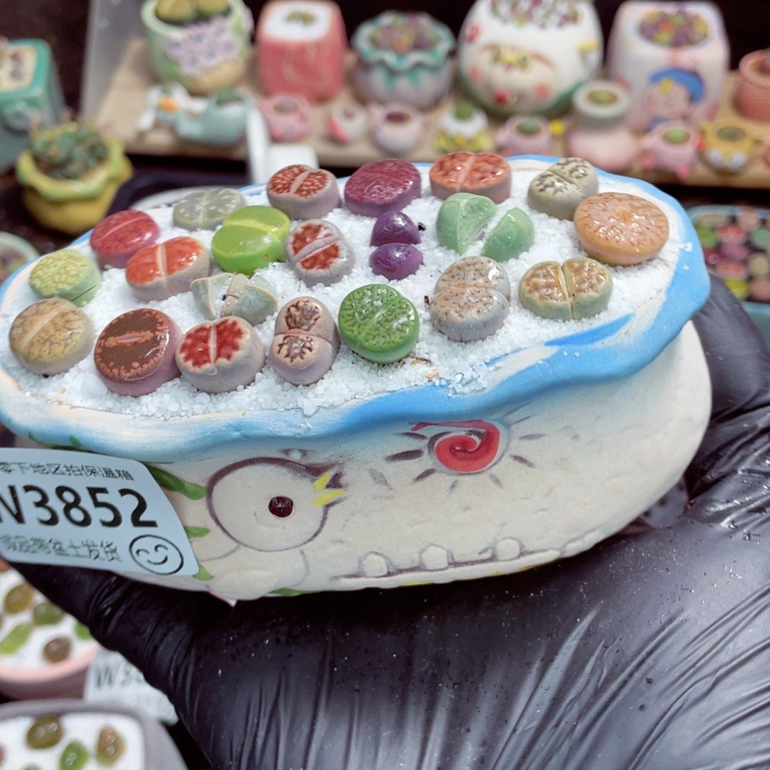 夜间零下地区拍保温箱w3852