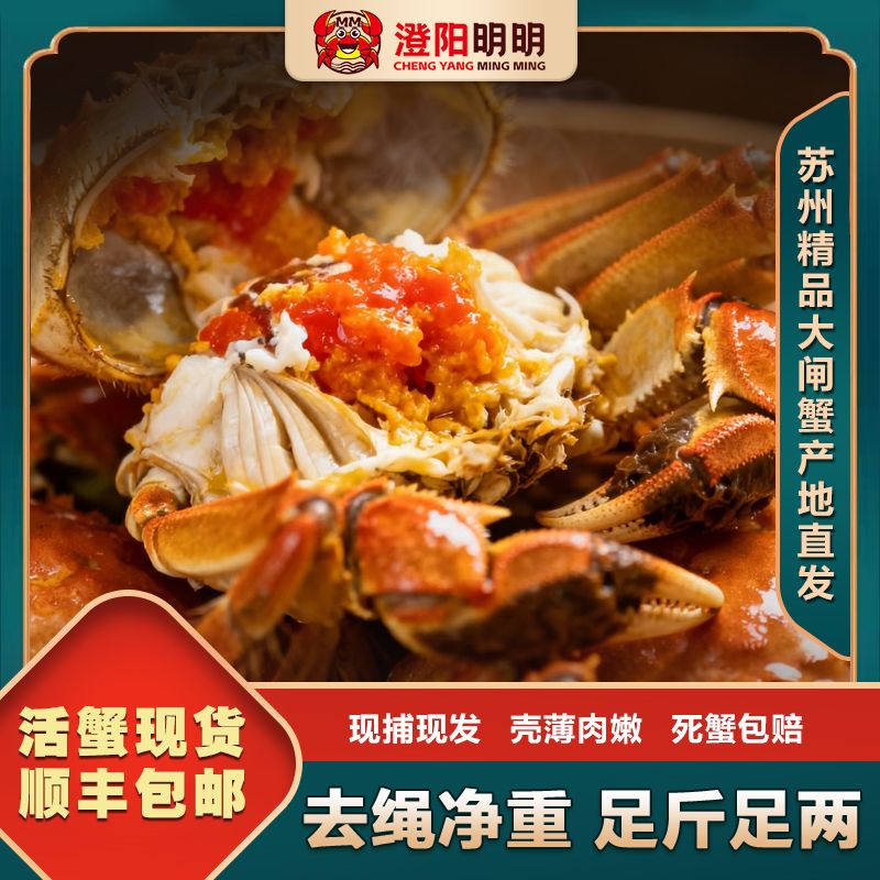 澄阳明明【精品大闸蟹】活蟹4两公+3.5两母6/8只塘养顺丰直发