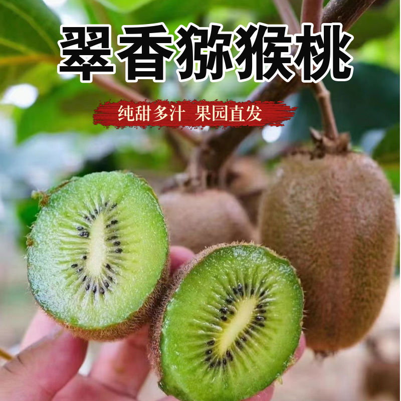 陕西翠香猕猴桃香甜绿心奇异果应季水果现货正宗翠香猕猴桃