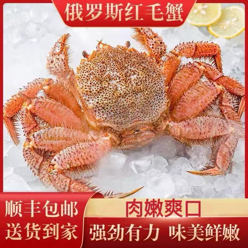 【只发新疆】冰鲜红毛蟹四大名蟹之一保鲜不保活
