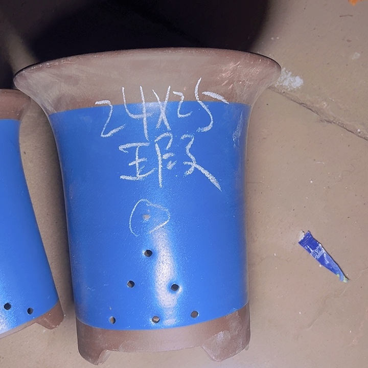 周深周深周深周深周深 