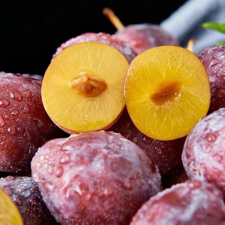 新疆正宗法兰西甜西梅新鲜水果 陕西分仓发顺丰