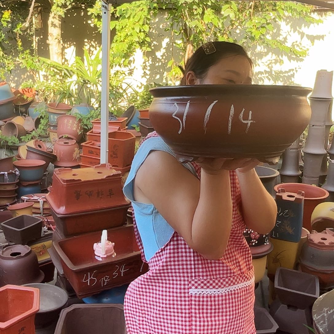 31仿古鱼缸花盆花盆花盆