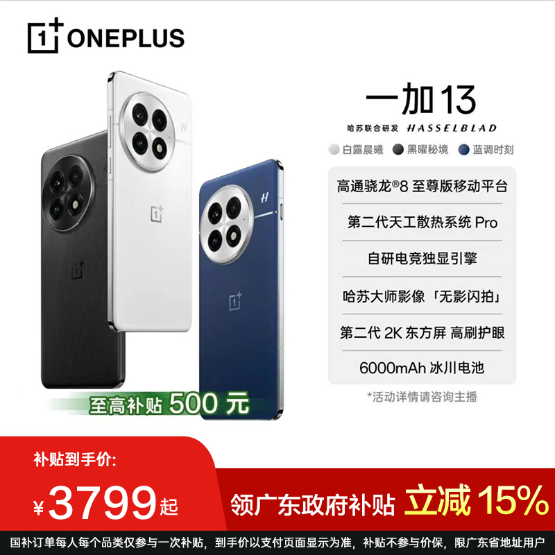【广东国补】一加 13 高通骁龙®8旗舰 AI智能游戏 影像性能5G手机