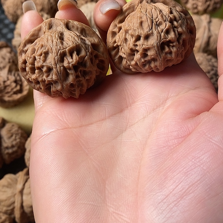 40全品宫灯无修无修无修