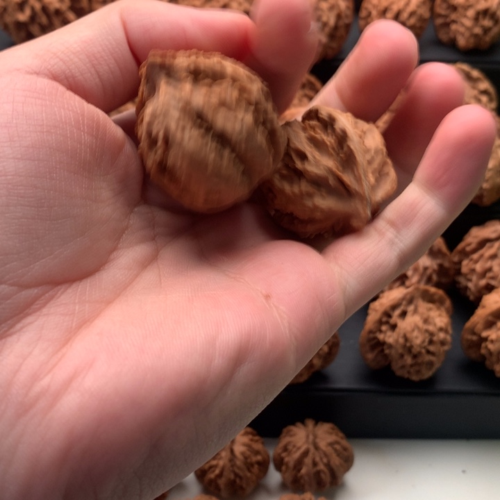 其他核桃记**刻秦岭的森林中