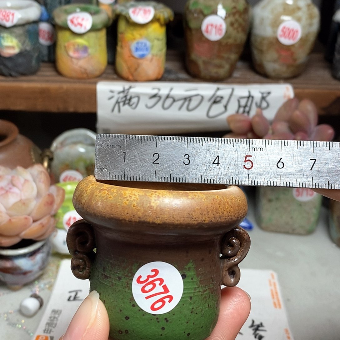 红陶拍5送一个小