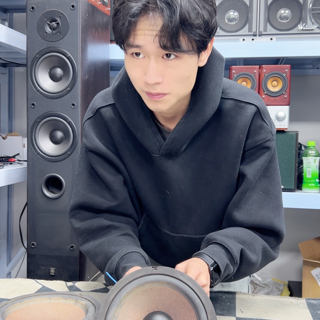 8新飞达八寸喇叭一只破边