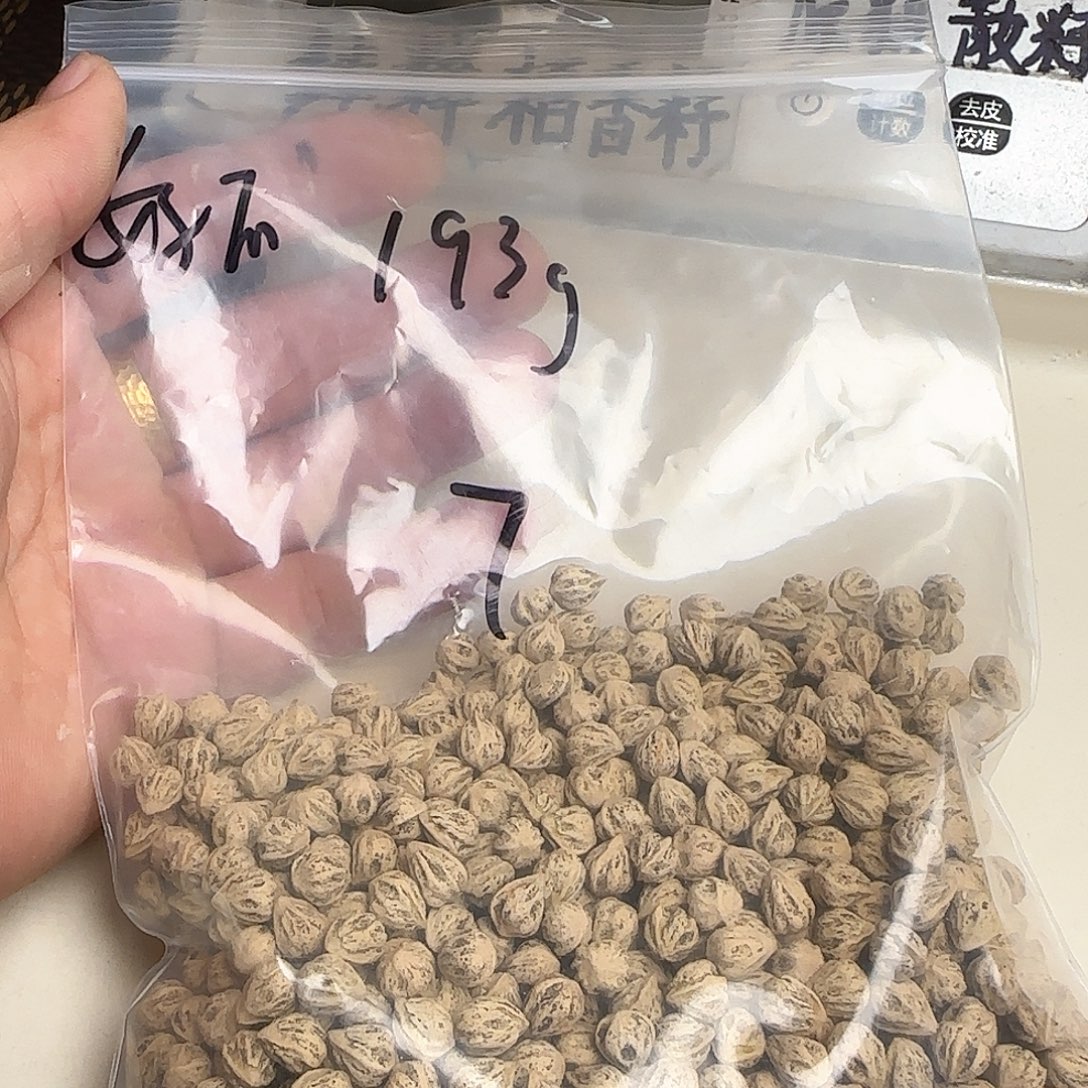 好***好柏香籽/百香籽吊坠