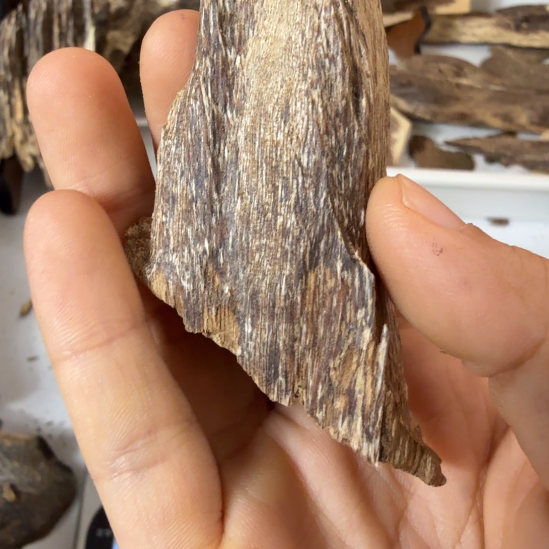 沉香沉香碎屑海南树丁18克