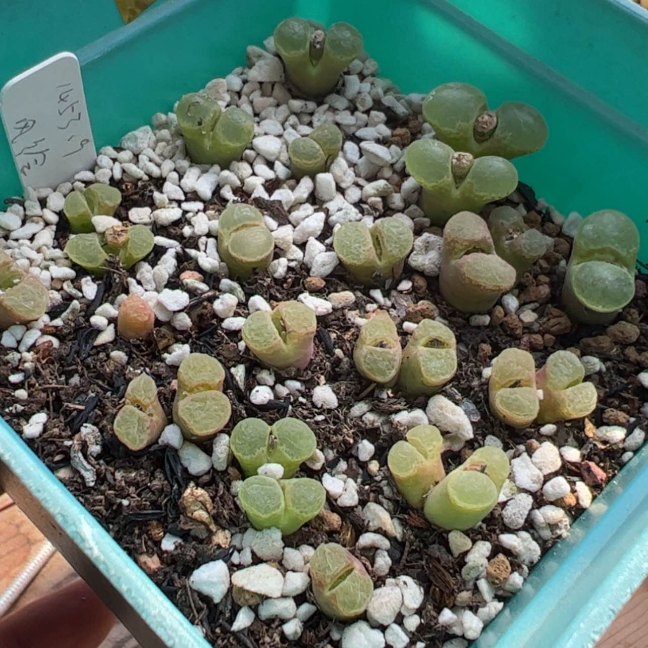 【闪购商品】327