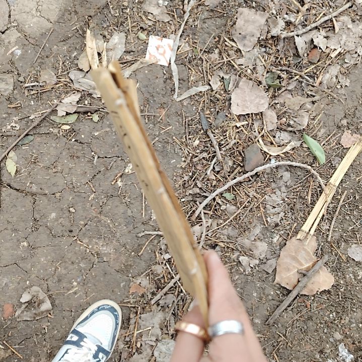 瓷器活动了吗？？用****7