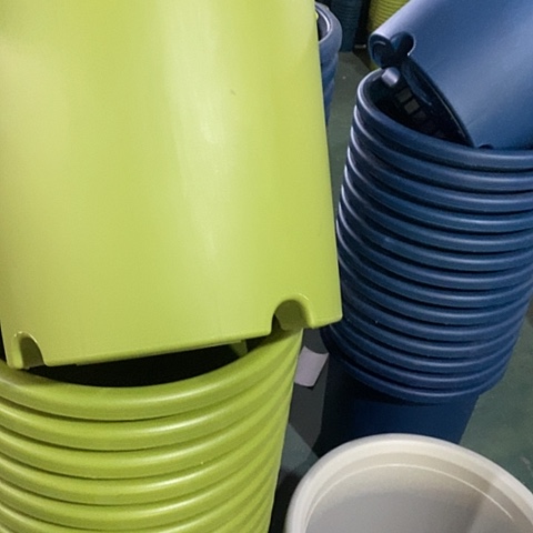 树脂四季8号果绿无托3个