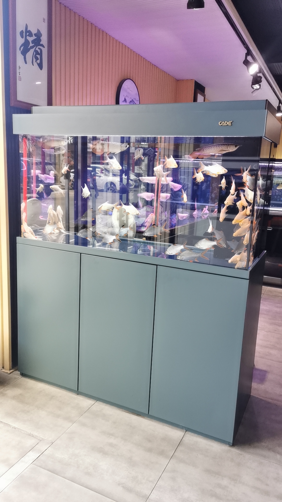 客厅大型底滤超白玻璃生态隔断落地家用鱼缸