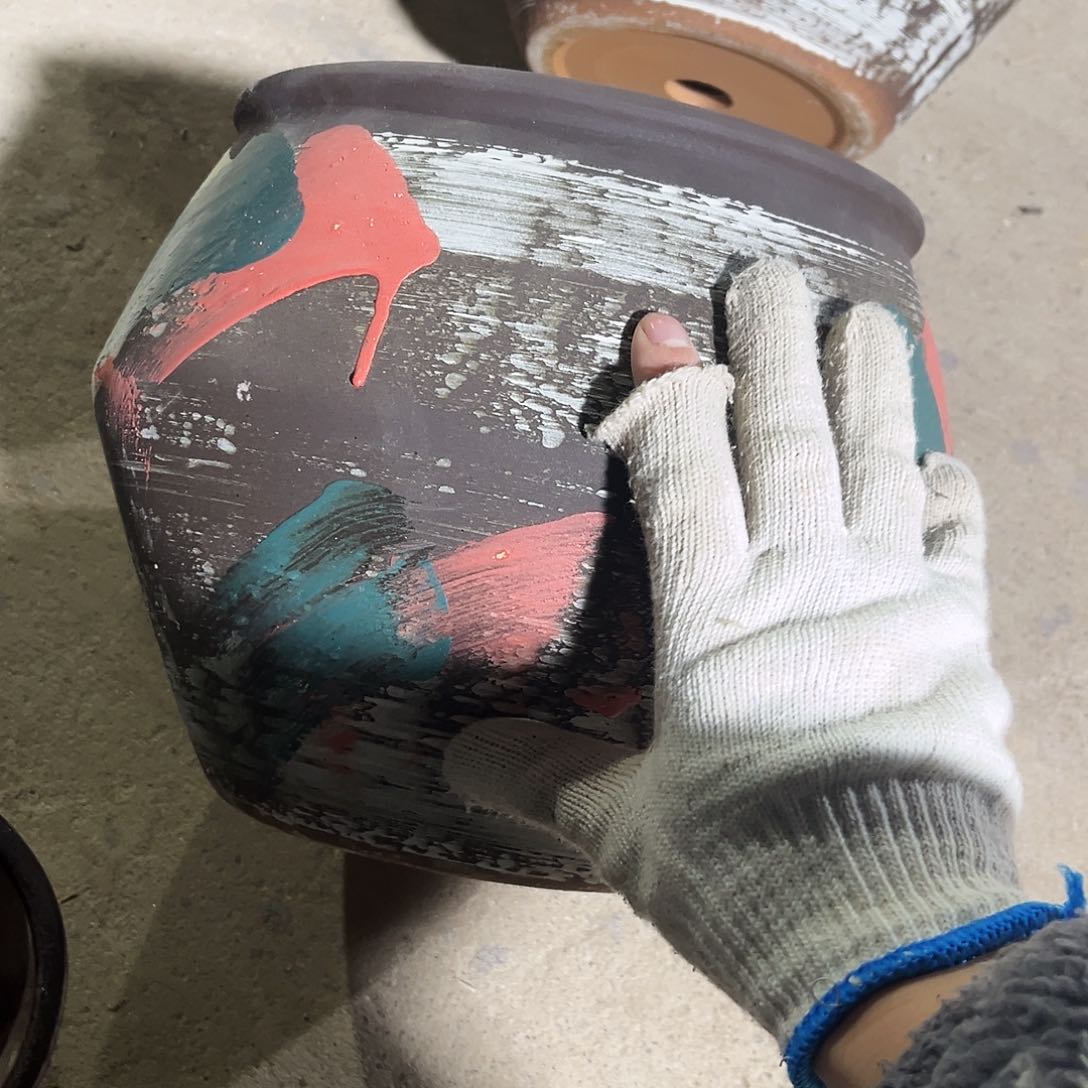 紫砂花盆里的小猫咪