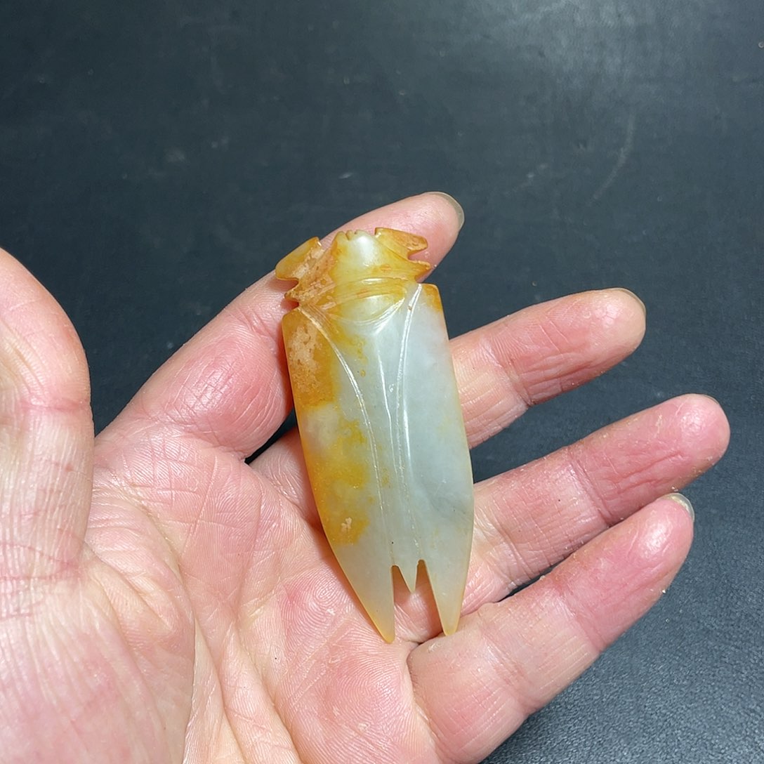 官方链接下单放心拍