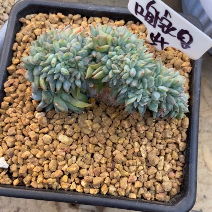 咱***肉888888888888888888