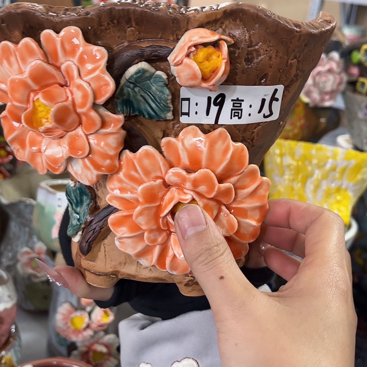 【闪购商品】红陶青**草5个同款