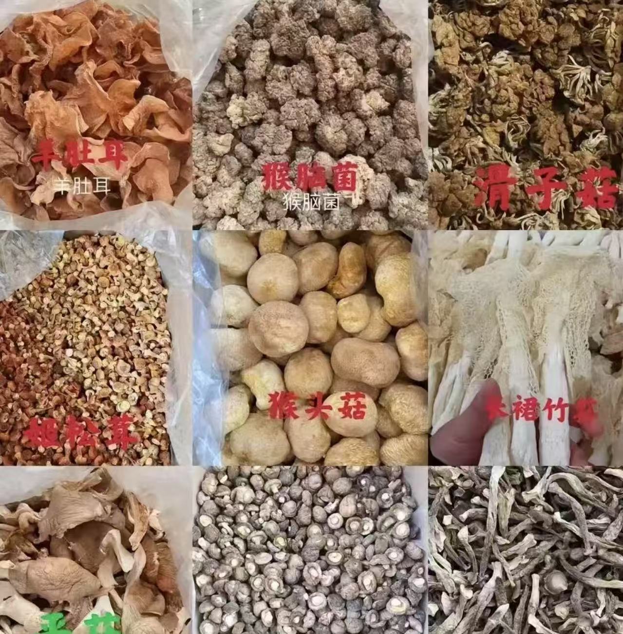 大美-桑葚-代拍链接2