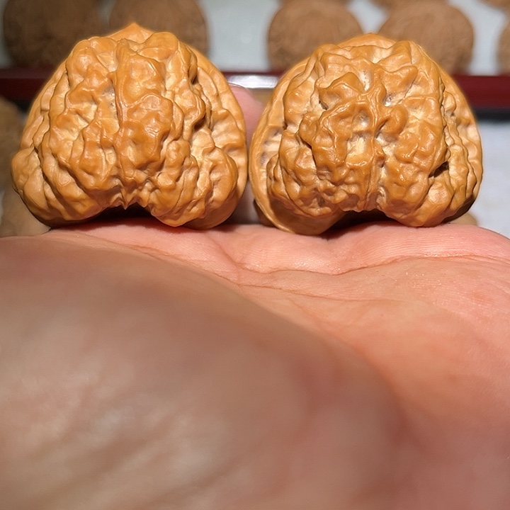 木44蛤蟆头头。   