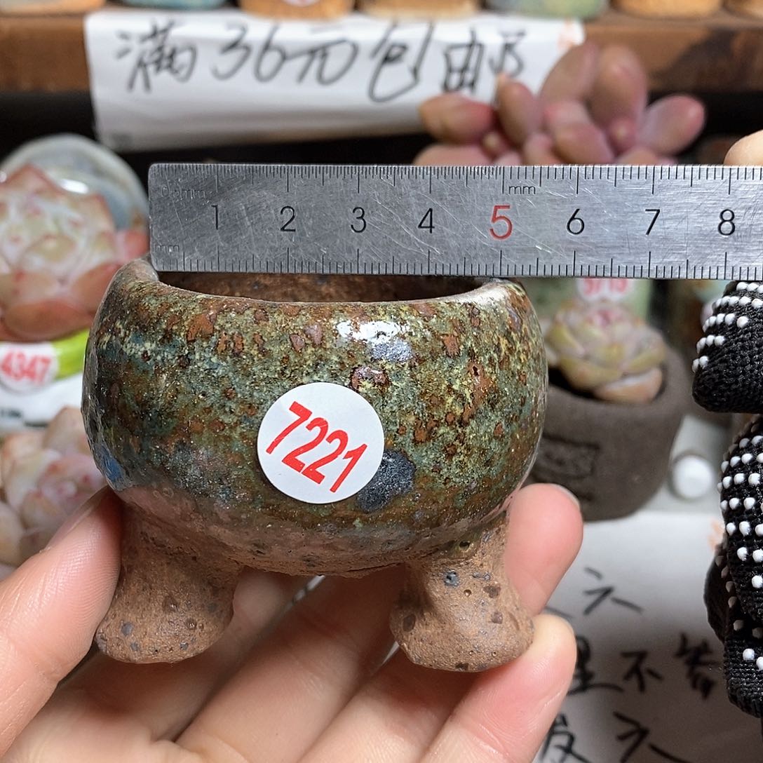 红陶拍5送一个小