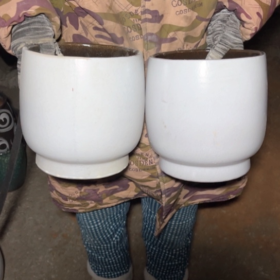 红陶口19高21瑕疵