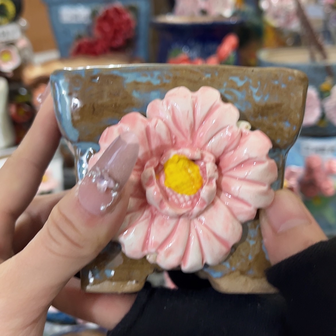 【闪购商品】红陶福利