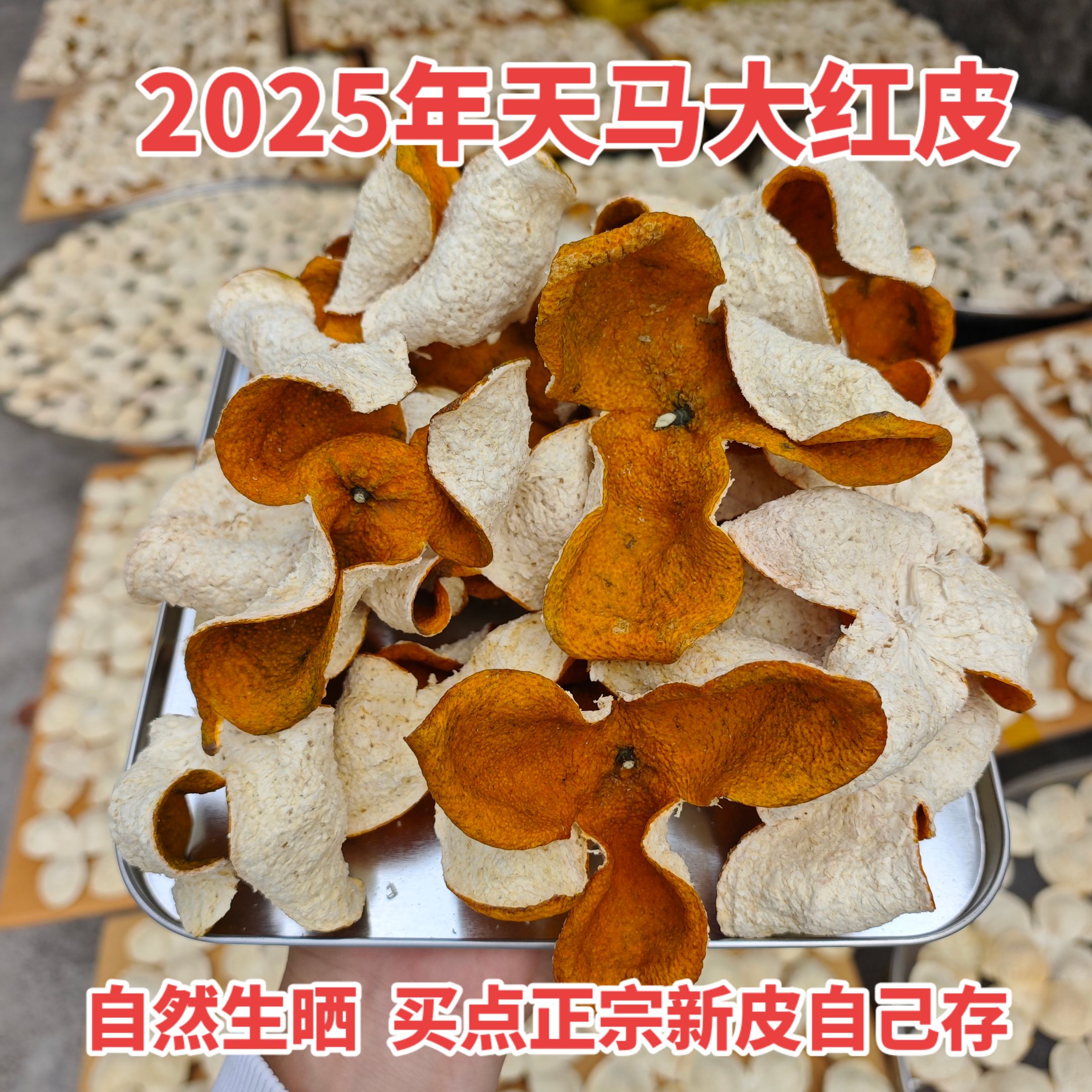2025年天马圈枝大红皮陈皮新会柑老树正宗新会茶枝柑泡水当年皮