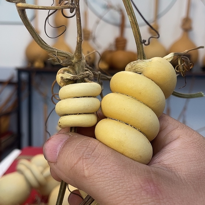 大叶紫檀（黑酸枝木类）孤