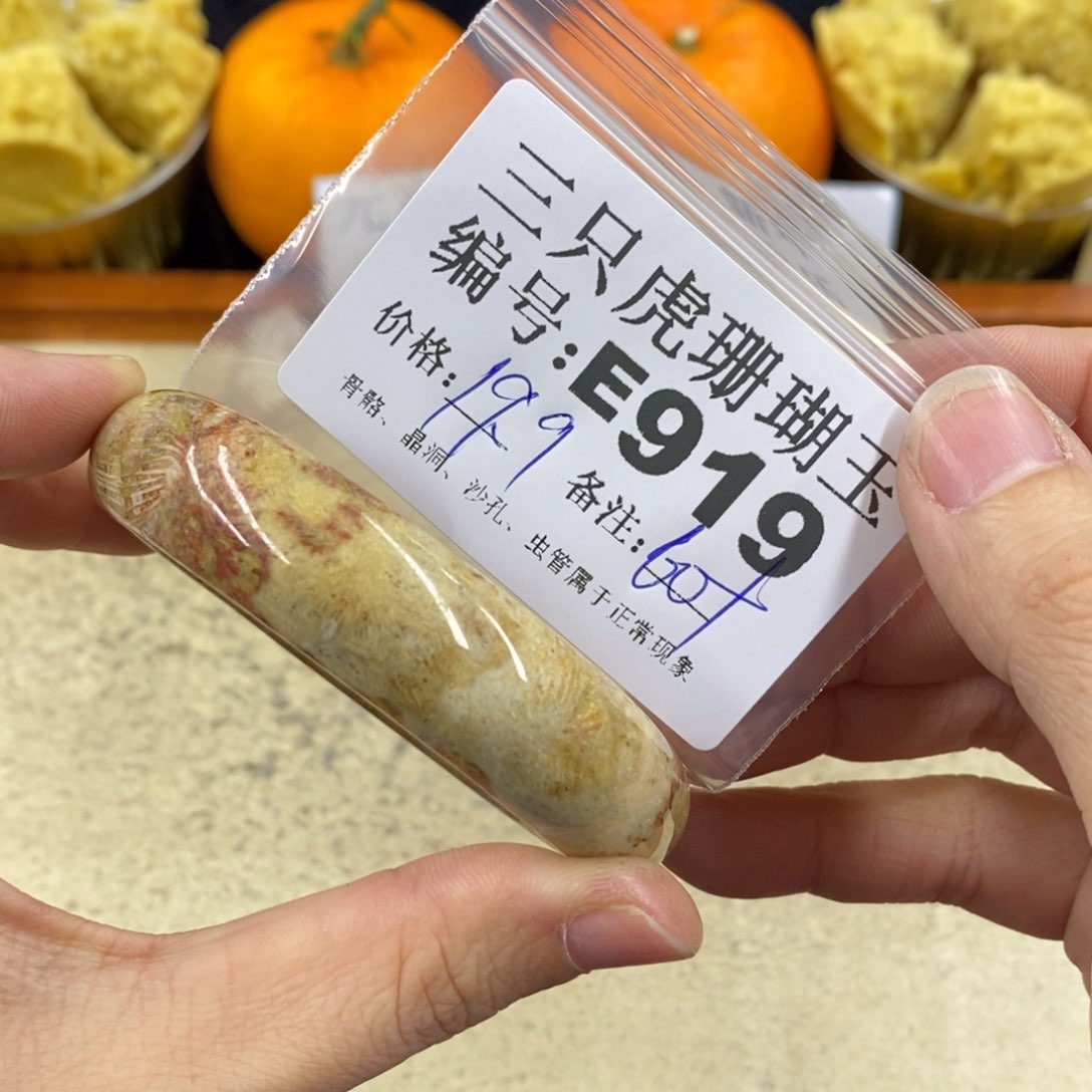 硅化珊瑚（珊瑚玉）1未镶嵌在****果