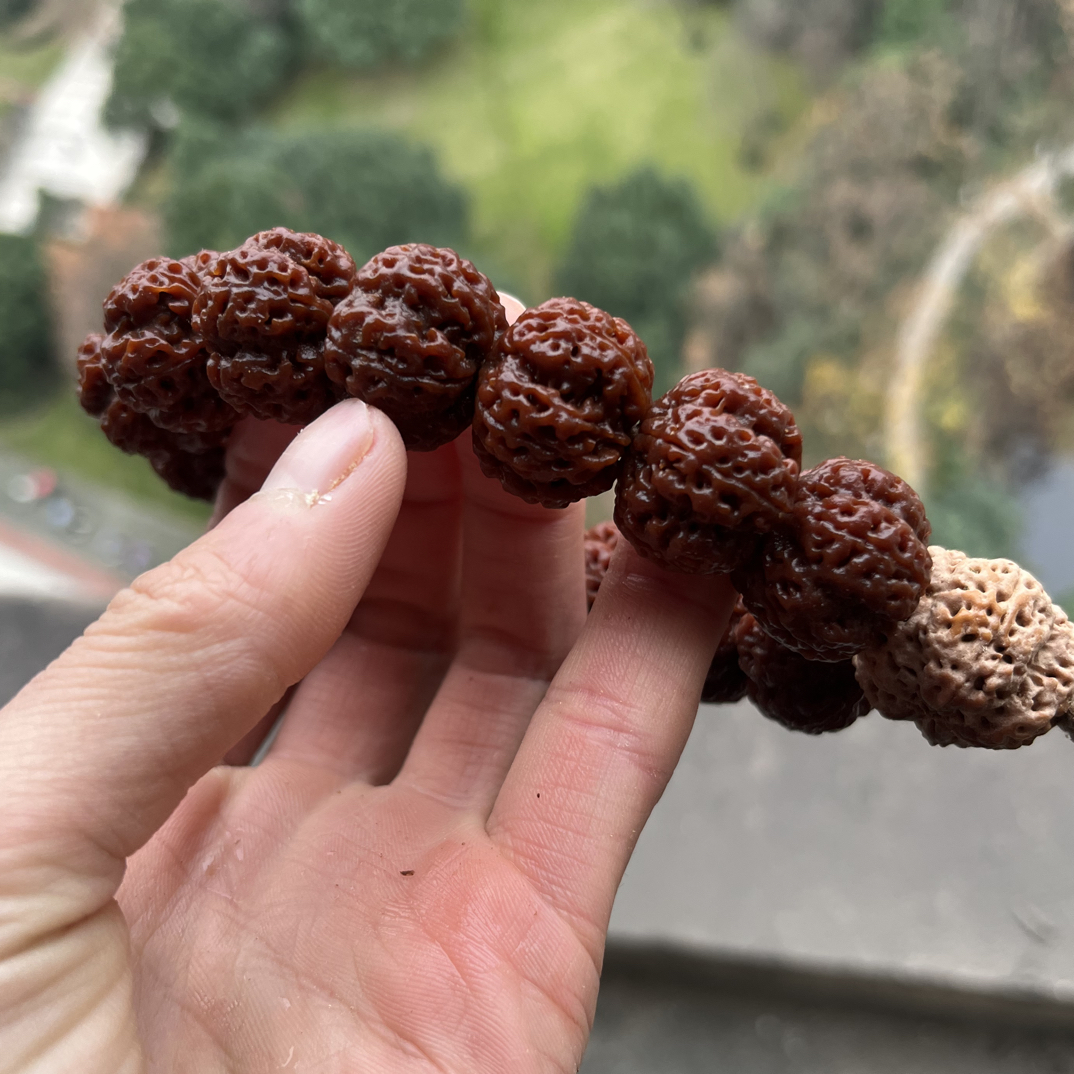 红皮凹底龙爪梅花超头定制款大金刚菩提子