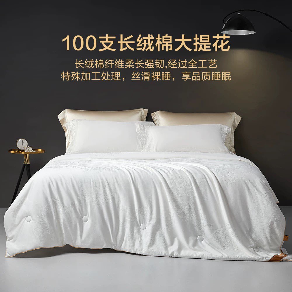 春秋100桑蚕丝被手工全棉高档纯棉正品四季可机洗被子芯婚被被芯