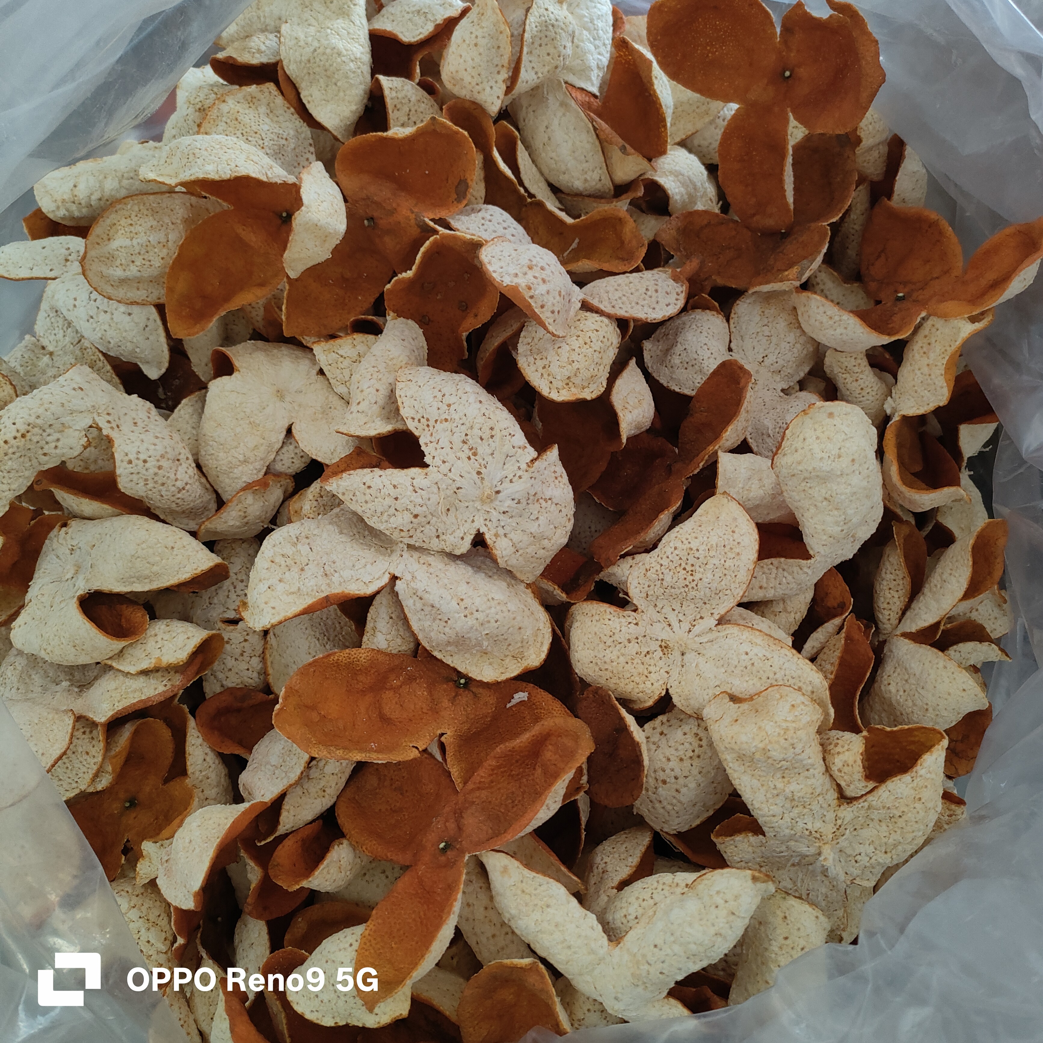 2025年广西浦北冬后老树陈皮（收藏版）