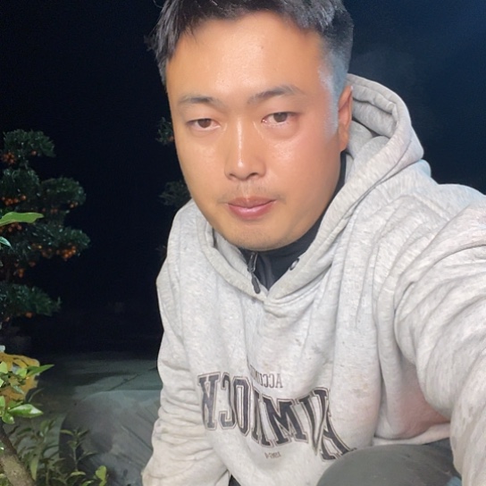 无花朵金弹子庭院原生品种