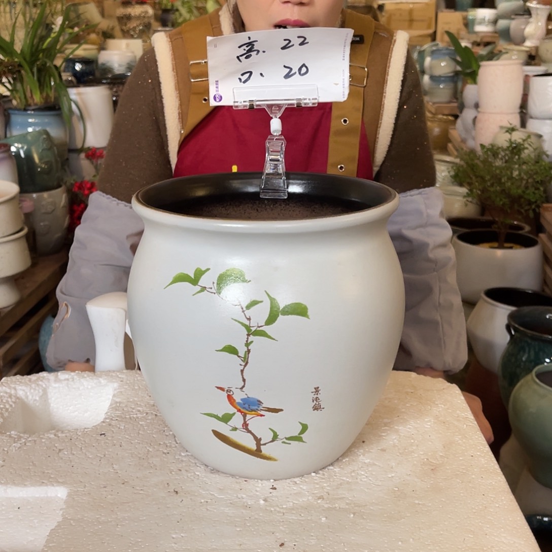 红陶高度22口径20