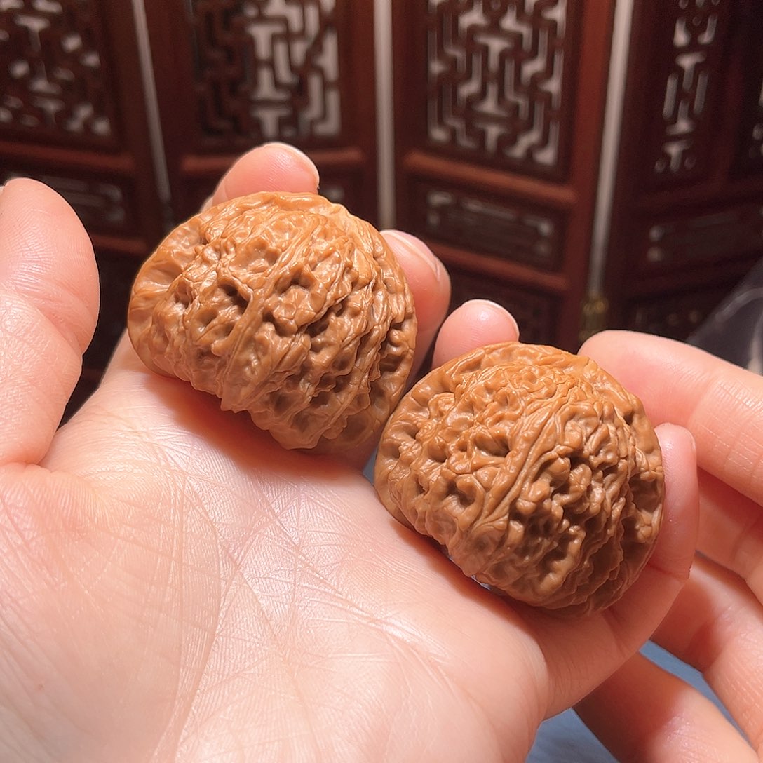 43全品大白狮子……精品