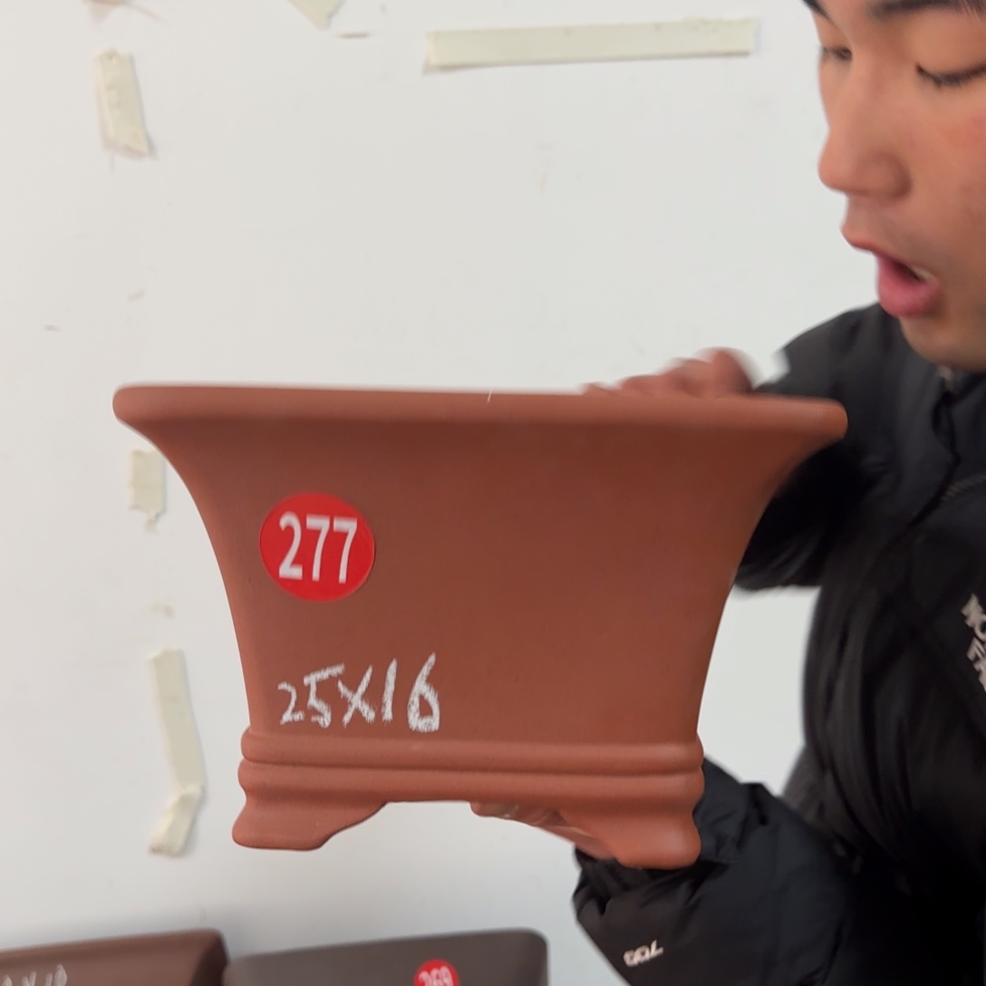紫砂花盆呜呜呜呜