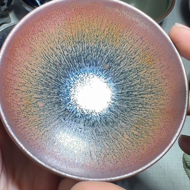 茶盏提出解决农村留守学生入学