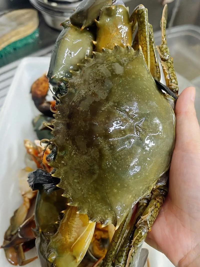 百川通水产*渤海湾自购链接 （顺丰发货）