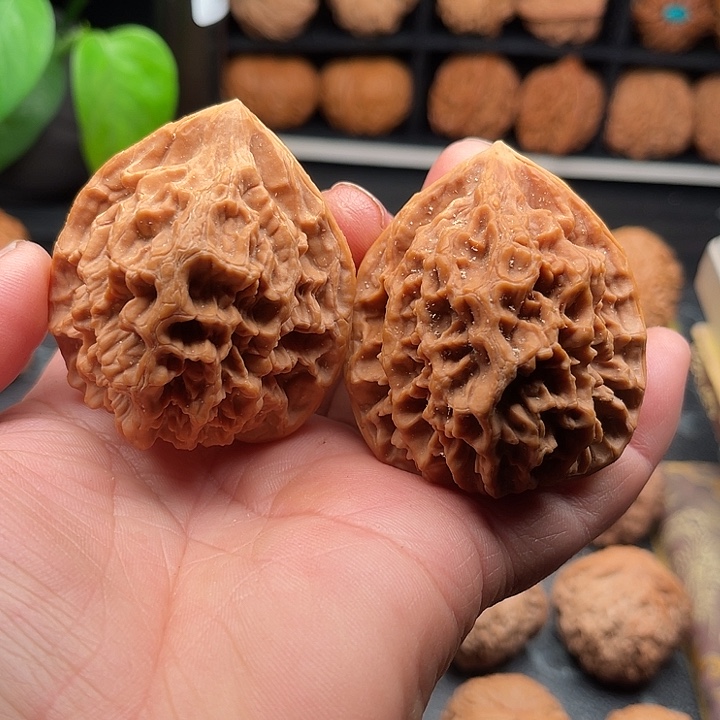 把件文玩核桃龙鳞边46肚47高52