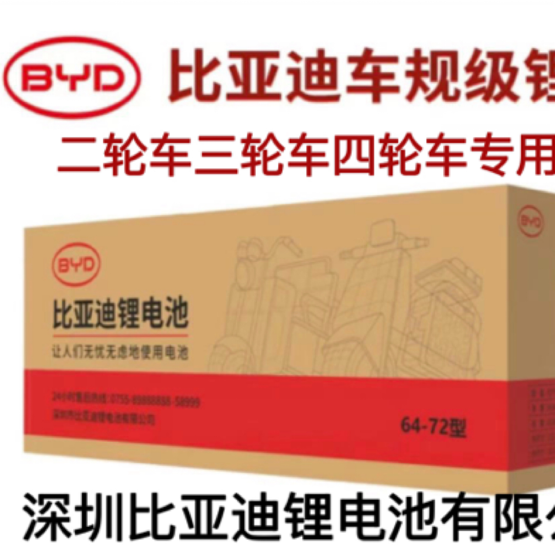 BYD/比亚迪64V96AH比亚迪锂电池配64伏15安充电器磷酸铁锂电芯
