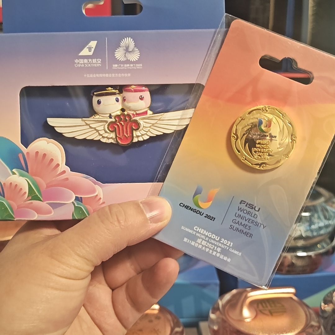 南航十五运飞行徽章送金色徽章