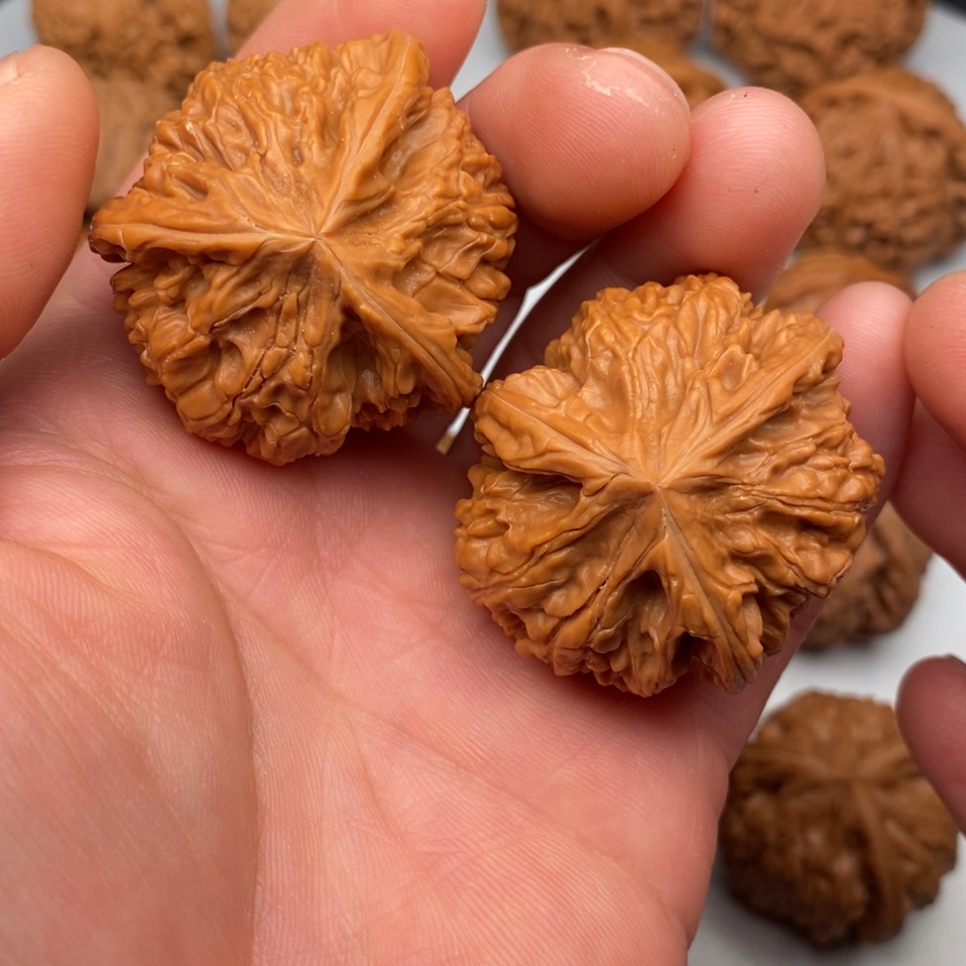 文玩核桃把件39左右三棱